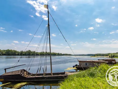 Maison de Charme avec Piscine Chauffée à 300m de la Loire, Proche Saumur et Sites UNESCO - Photo 28