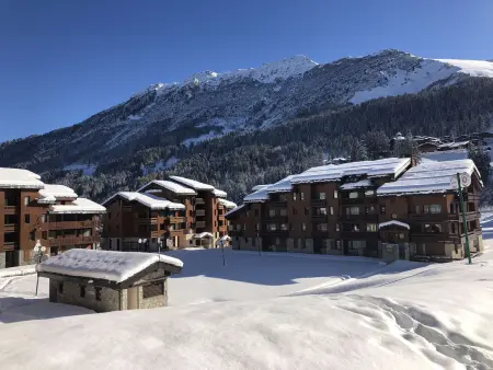 Charmant 2 pièces+mezzanine à Valmorel, bord de piste, plein sud, 3 étoiles, 5 pers, balcon - Photo 10