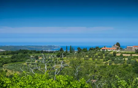 Villa Nila, Maison 6 personnes à Umag - Photo 31