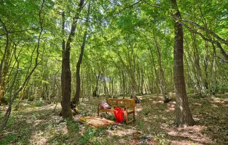 Villa Sanda, Maison 8 personnes à Labin   Rabac - Photo 22