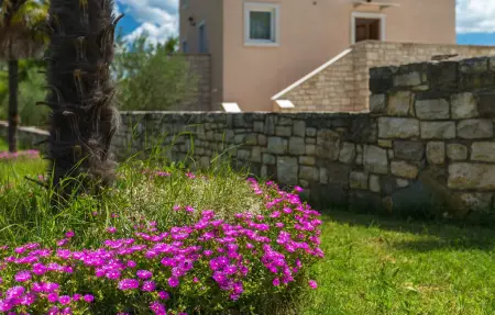 Villa Nolissima, Maison 12 personnes à Motovun - Photo 18