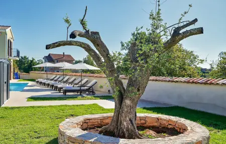 Villa Rajana, Maison 14 personnes à Svetvincenat - Photo 17