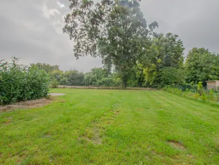 Gîte pittoresque en forêt d'Orient, animaux acceptés - Photo 15
