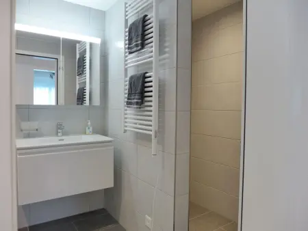 Feldli, Appartement 4 personnes à Meiringen - Photo 19