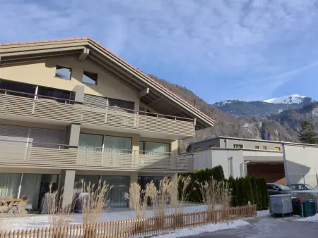 Feldli, Appartement 4 personnes à Meiringen - Photo 27