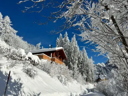 Chalet Les Pars, Chalet 8 personnes à Gryon - Photo 1
