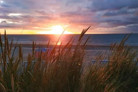 Meidoorn 2-1G, Appartement proche des dunes à Koksijde - Photo 31