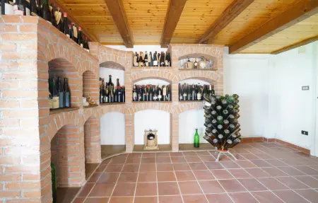 Maison 14 personnes à Castelnuovo Bormida - Photo 27