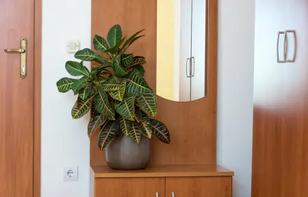 Appartement 2 personnes à Baska Voda - Photo 10