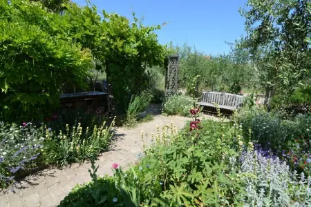 Venturi Cherry, Appartement côtier ensoleillé - Photo 8