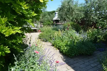Venturi Cherry, Appartement côtier ensoleillé - Photo 18