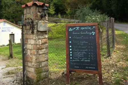 Il Muretto Intero, Maison à Vicchio avec Piscine Privée - Photo 30