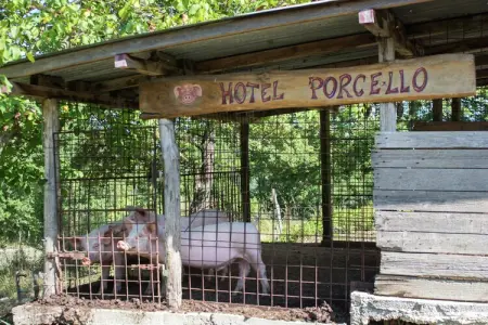 Il Muretto Intero, Maison à Vicchio avec Piscine Privée - Photo 34