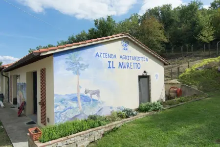 Il Muretto Intero, Maison à Vicchio avec Piscine Privée - Photo 35