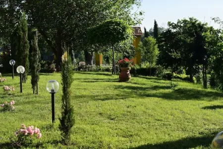 Da Vinci Cinque, Ferme à Vinci près de la maison de Léonard - Photo 7
