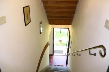Da Vinci Cinque, Ferme à Vinci près de la maison de Léonard - Photo 12