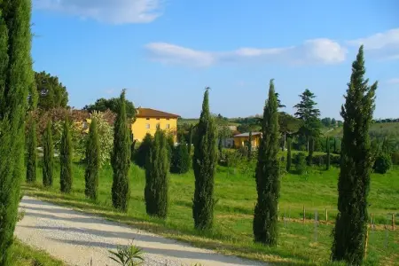 Da Vinci Quattro, Ferme à Vinci près du Musée Leonardo - Photo 10