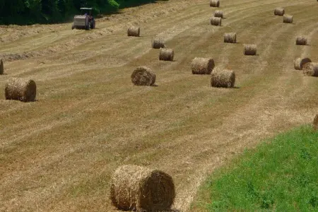 Da Vinci Quattro, Ferme à Vinci près du Musée Leonardo - Photo 32