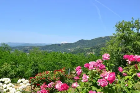 Casa Rondò, Maison en Toscane avec Piscine & Oliviers - Photo 18