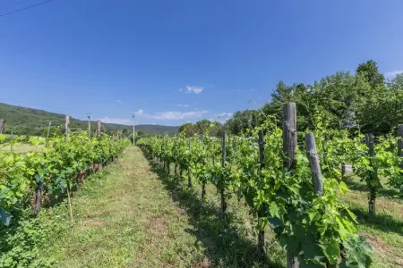 San Martino, Maison de vacances spacieuse - Photo 28