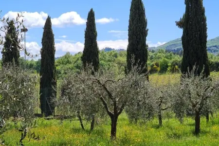 San Martino, Maison de vacances spacieuse - Photo 33