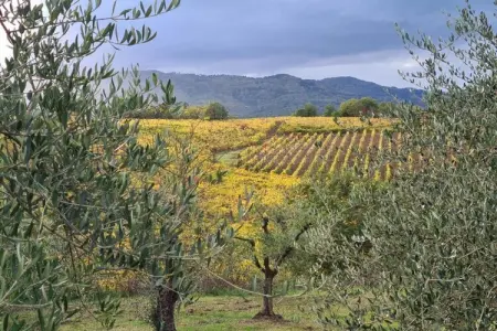 San Martino, Maison de vacances spacieuse - Photo 34