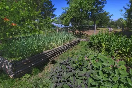 Clemacine, Gîte à Loro Ciuffenna - Photo 31