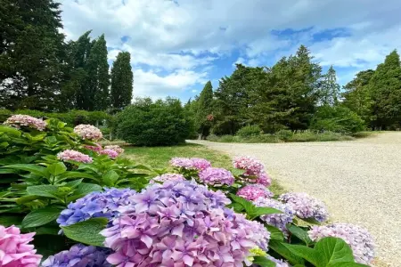 La Scheggia, Charmant cottage avec piscine - Photo 29