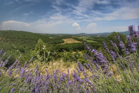 Casole d'Elsa, Ferme avec jardin privé - Photo 15