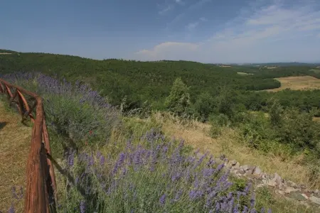 Casole d'Elsa, Ferme avec jardin privé - Photo 17