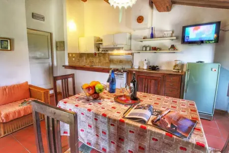 Casole d'Elsa, Ferme avec jardin privé - Photo 20
