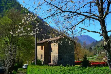 Paola, Charmant cottage avec piscine à Trebbio - Photo 6