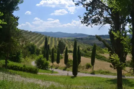 Gatterino, Belle maison de vacances avec piscine au cœur de la Toscane - Photo 24
