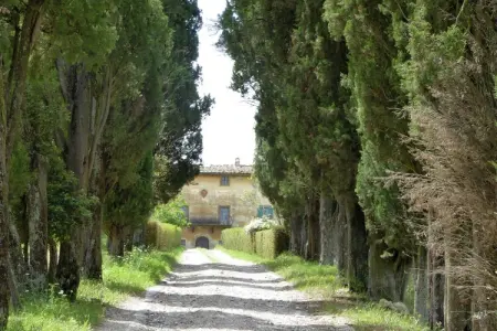 Allodola, Charme toscan près de Volterra - Photo 5