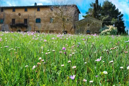 Allodola, Charme toscan près de Volterra - Photo 11