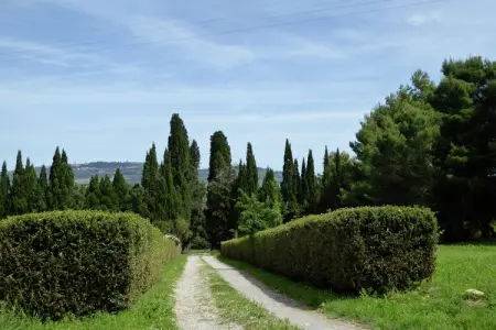 Allodola, Charme toscan près de Volterra - Photo 29