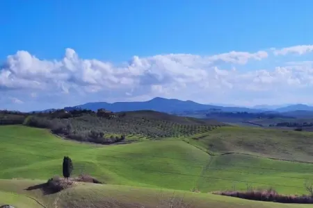 Allodola, Charme toscan près de Volterra - Photo 35