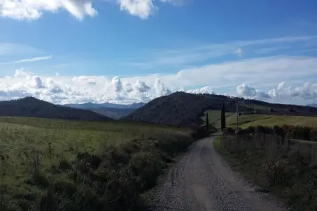 Allodola, Charme toscan près de Volterra - Photo 36