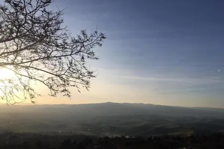 Allodola, Charme toscan près de Volterra - Photo 38