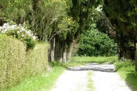Cardellino, Maison à Volterra avec piscine et terrasse - Photo 27