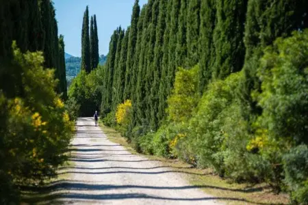 Stella, Appartement en Toscane avec 2 piscines - Photo 39
