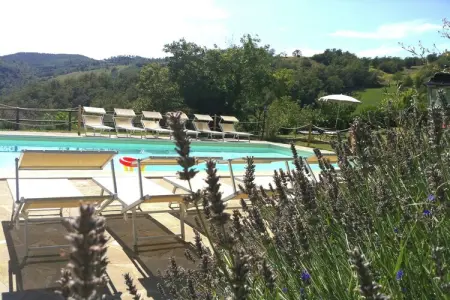 Casal Baruffa- Gorgaccia, Ferme à Apecchio avec piscine et terrasse - Photo 10