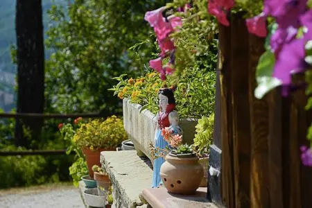 Il Fiordaliso, Cottage à Marche avec piscine et forêt - Photo 37