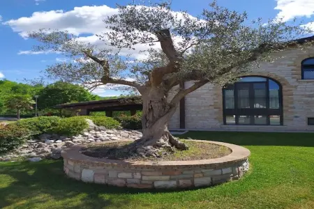 Relax, Gîte familial à Cagli avec piscine - Photo 46