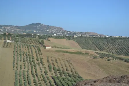 Montalbano Quattro, Maison de Vacances à Sciacca avec Piscine - Photo 37