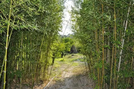 Casa del Limoneto Noto Marina, Maison à Lido di Noto près de la Plage - Photo 31