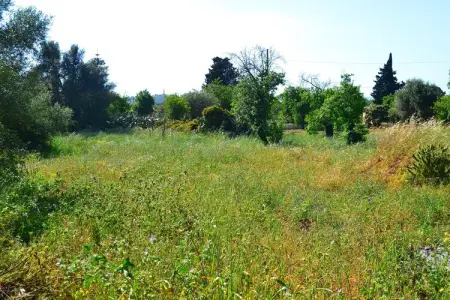 Casa del Carrubo, Gîte en Sicile avec jardin et barbecue - Photo 20