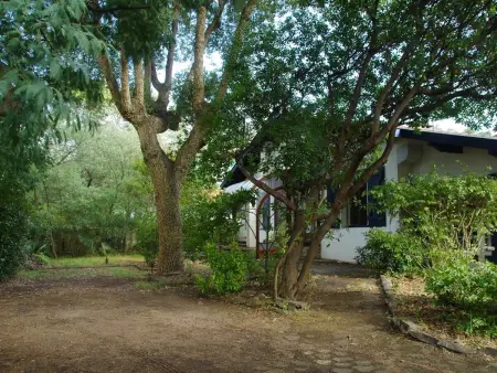 Grande maison landaise près du port de Capbreton, 4 chambres, jardin, animaux admis - Photo 13