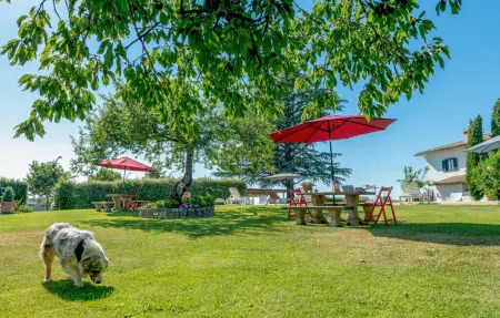 Maison 18 personnes à Bagnoregio - Photo 20
