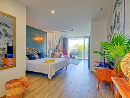 Studio à Anse Marcel, plage, climatisation, parking - Photo 15